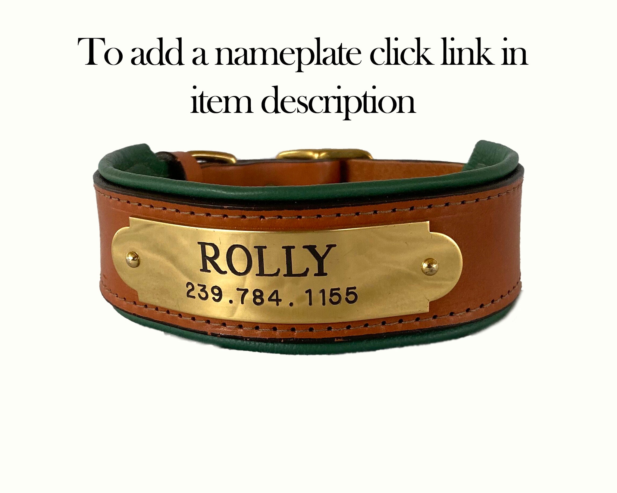 Classic Padded Collar (Nameplate Optional)